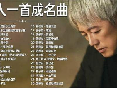 【 价值169 】1737首无损音乐大合集，一人一首成名曲，你想要的这里都有，wav无损格式【70.9GB】